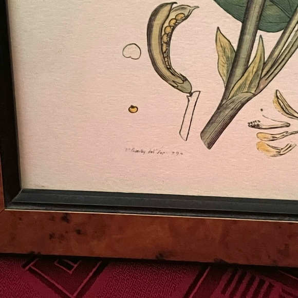 Vintage brown wooden key box, cabinet with vintage botanical floral print - Picture 3 of 16